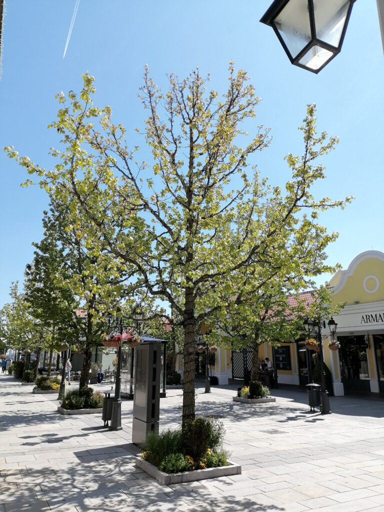 Die Grünflächen sind wunderbar hergerichtet, sieht alles sehr schön aus