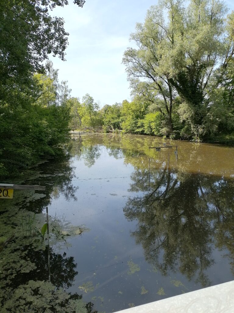 Diese Anlage dürfte auch gepflegt werden von den öffentlichen Bereichen
