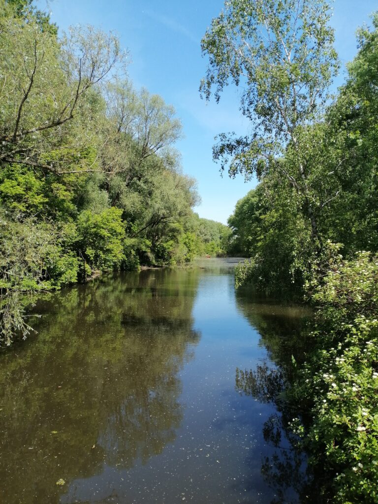 hier kann man Tretboote mieten und die Gegend erkunden