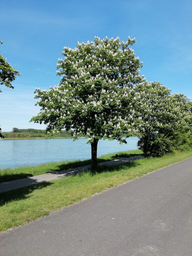 An der Donau angekommen