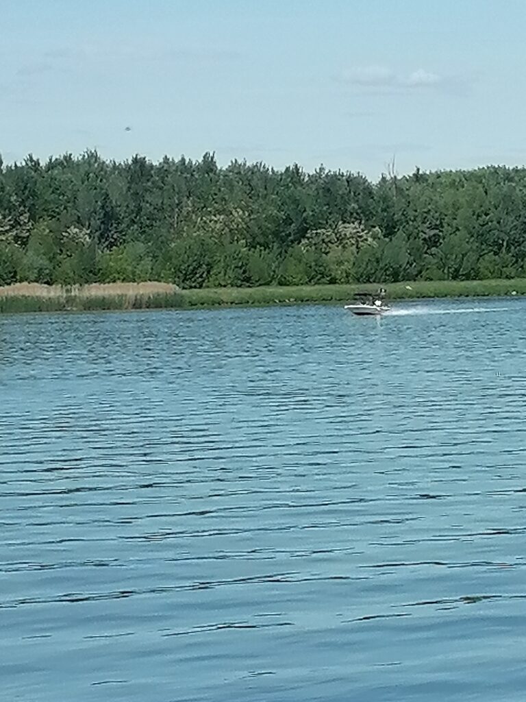 noch näher heran gezoomt